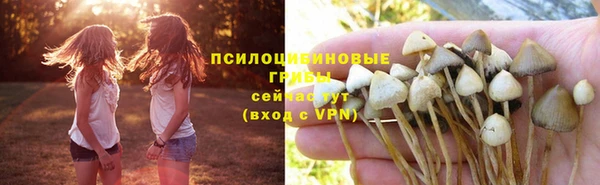spice Осинники