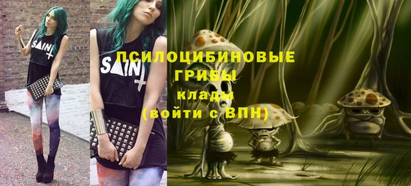 дурь Бронницы