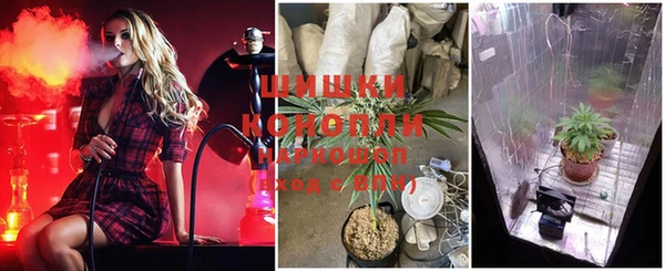 молекула духа Остров